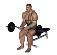 Reverse Curl - Seated EZ Bar Close Grip